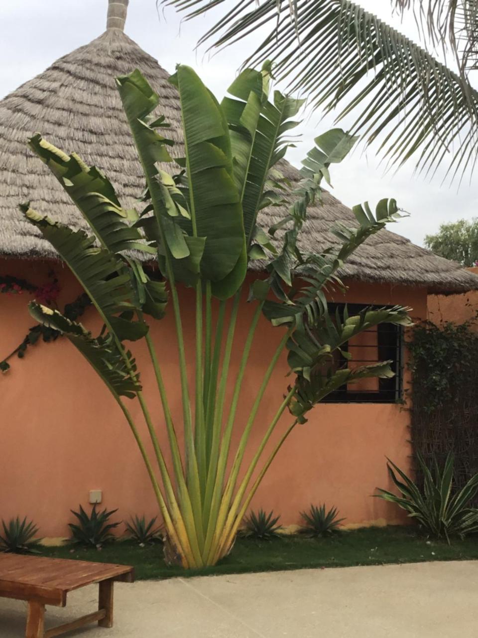 Terra Lodge Senegal M'Bour Exteriér fotografie