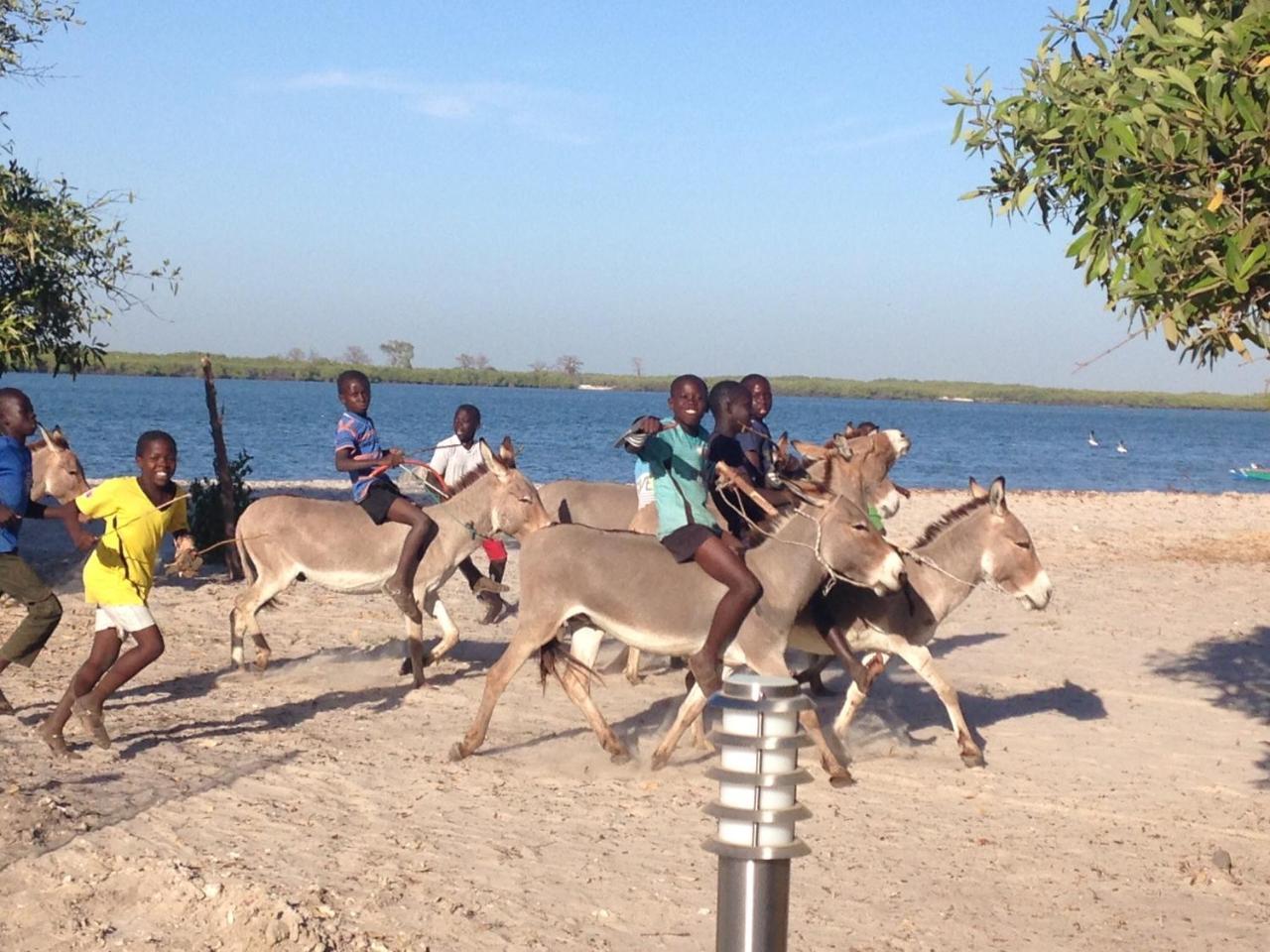 Terra Lodge Senegal M'Bour Exteriér fotografie