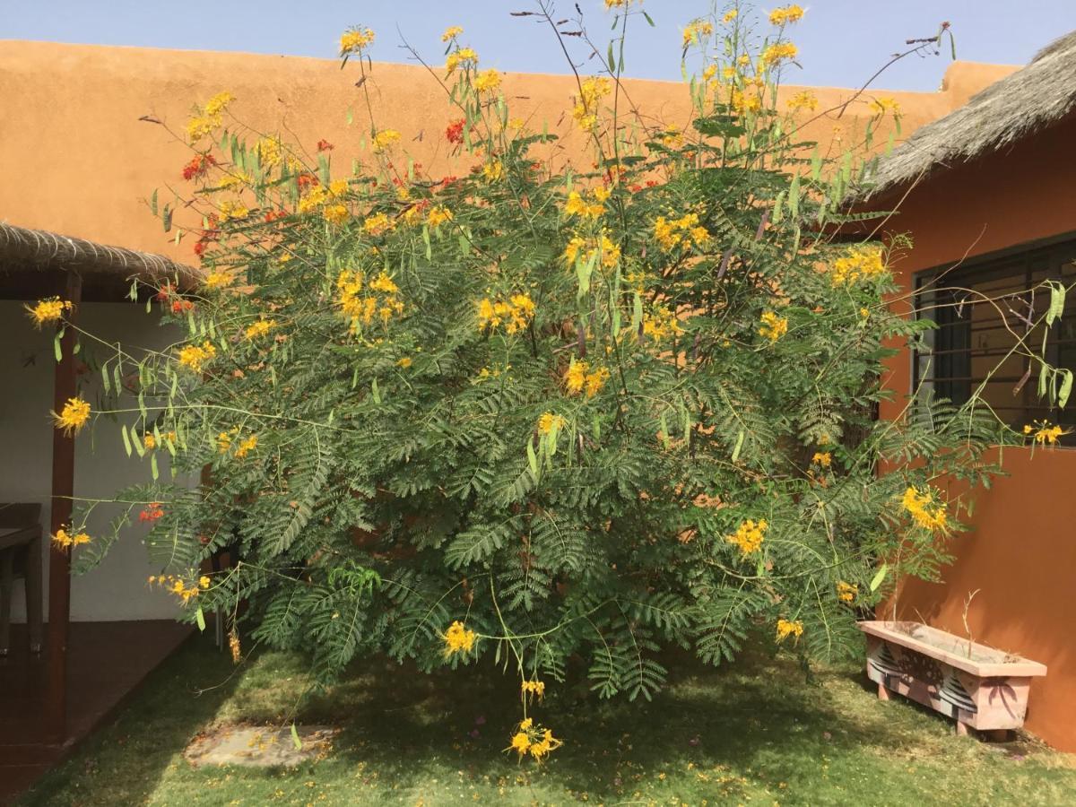 Terra Lodge Senegal M'Bour Exteriér fotografie